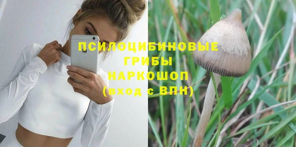 метадон Белокуриха