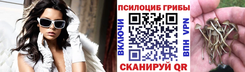 Галлюциногенные грибы мицелий Валуйки