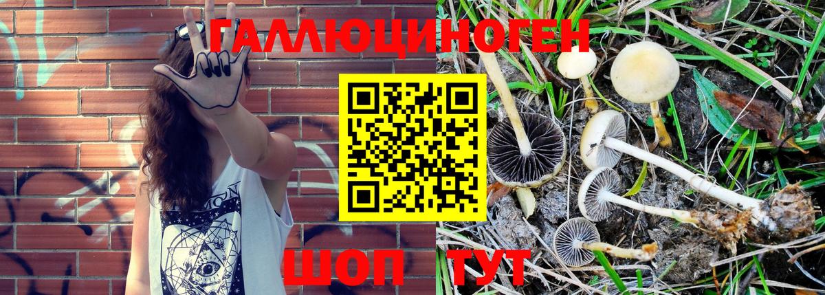 Псилоцибиновые грибы Magic Shrooms  Псилоцибиновые грибы мухоморы  Валуйки  Вход с VPN 