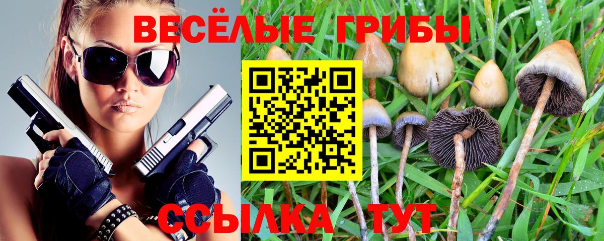 Галлюциногенные грибы MAGIC MUSHROOMS Валуйки