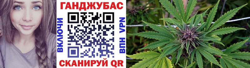 Конопля гибрид  Валуйки 